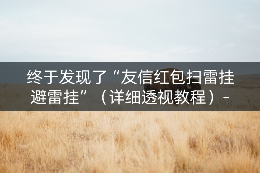 终于发现了“友信红包扫雷挂避雷挂”（详细透视教程）-哔哩哔哩