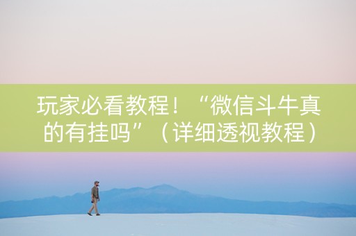玩家必看教程！“微信斗牛真的有挂吗”（详细透视教程）-哔哩哔哩