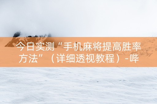 今日实测“手机麻将提高胜率方法”（详细透视教程）-哔哩哔哩