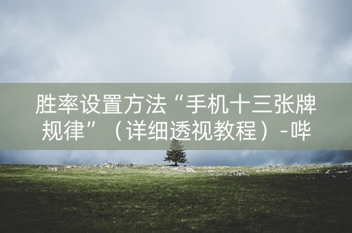胜率设置方法“手机十三张牌规律”（详细透视教程）-哔哩哔哩