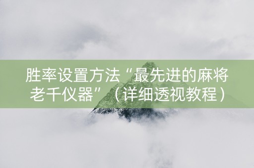 胜率设置方法“最先进的麻将老千仪器”（详细透视教程）-哔哩哔哩