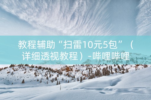 教程辅助“扫雷10元5包”（详细透视教程）-哔哩哔哩