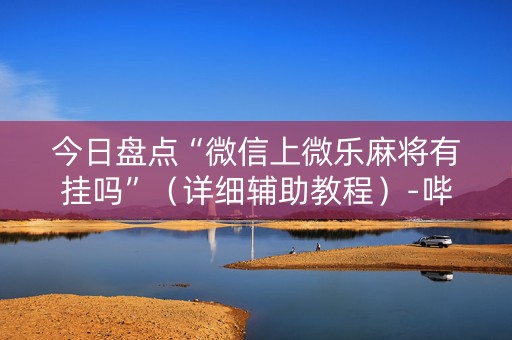 今日盘点“微信上微乐麻将有挂吗”（详细辅助教程）-哔哩哔哩