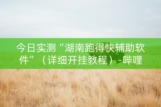 今日实测“湖南跑得快辅助软件”（详细开挂教程）-哔哩哔哩