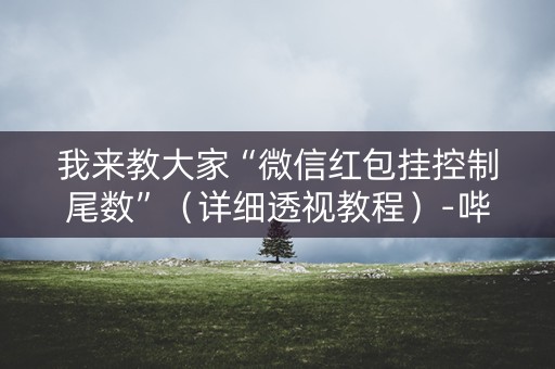 我来教大家“微信红包挂控制尾数”（详细透视教程）-哔哩哔哩