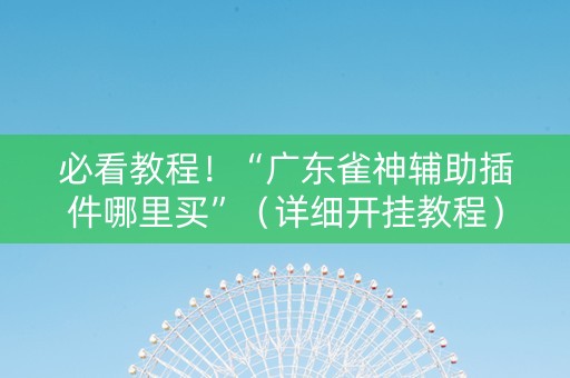 必看教程！“广东雀神辅助插件哪里买”（详细开挂教程）-哔哩哔哩