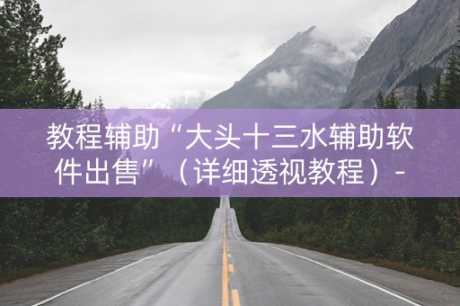 教程辅助“大头十三水辅助软件出售”（详细透视教程）-哔哩哔哩