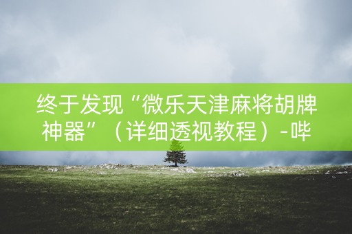 终于发现“微乐天津麻将胡牌神器”（详细透视教程）-哔哩哔哩