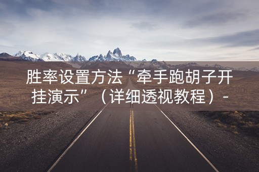 胜率设置方法“牵手跑胡子开挂演示”（详细透视教程）-哔哩哔哩