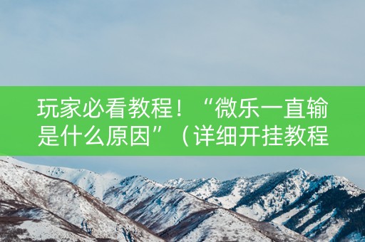 玩家必看教程！“微乐一直输是什么原因”（详细开挂教程）-哔哩哔哩