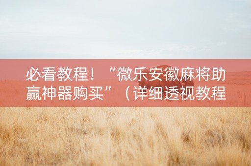 必看教程！“微乐安徽麻将助赢神器购买”（详细透视教程）-哔哩哔哩