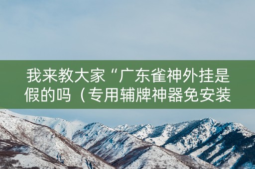 我来教大家“广东雀神外挂是假的吗（专用辅牌神器免安装）