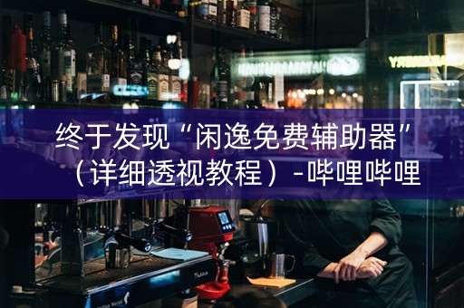终于发现“闲逸免费辅助器”（详细透视教程）-哔哩哔哩