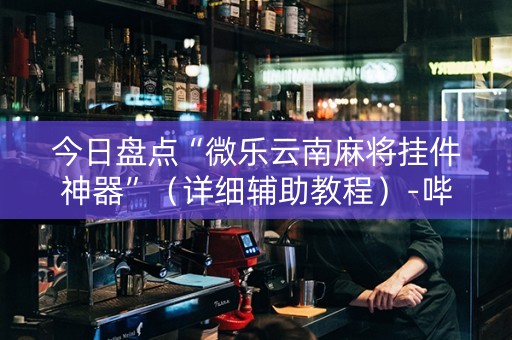 今日盘点“微乐云南麻将挂件神器”（详细辅助教程）-哔哩哔哩