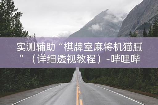 实测辅助“棋牌室麻将机猫腻”（详细透视教程）-哔哩哔哩