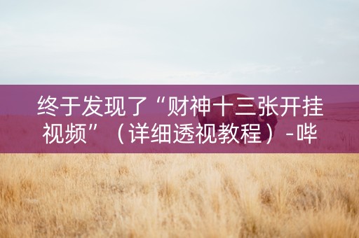 终于发现了“财神十三张开挂视频”（详细透视教程）-哔哩哔哩