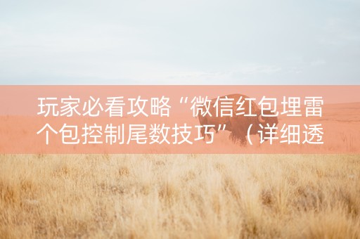 玩家必看攻略“微信红包埋雷个包控制尾数技巧”（详细透视教程）-哔哩哔哩