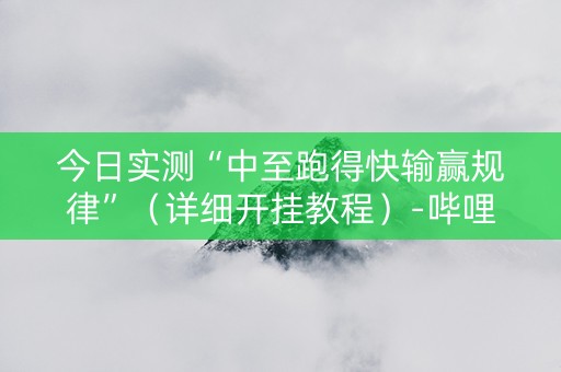 今日实测“中至跑得快输赢规律”（详细开挂教程）-哔哩哔哩