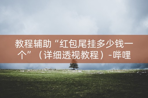 教程辅助“红包尾挂多少钱一个”（详细透视教程）-哔哩哔哩