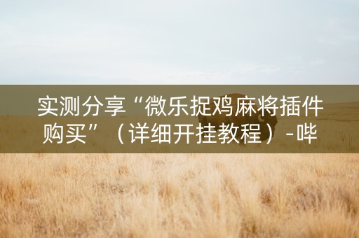 实测分享“微乐捉鸡麻将插件购买”（详细开挂教程）-哔哩哔哩