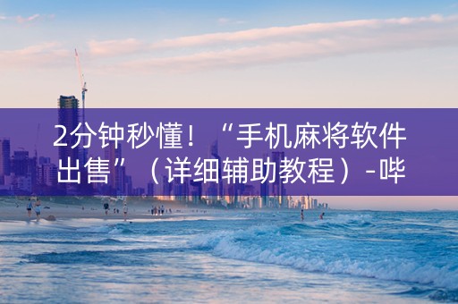 2分钟秒懂！“手机麻将软件出售”（详细辅助教程）-哔哩哔哩
