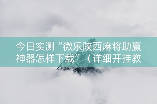 今日实测“微乐陕西麻将助赢神器怎样下载”（详细开挂教程）-哔哩哔哩