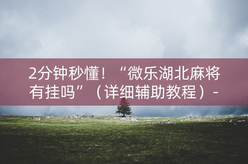 2分钟秒懂！“微乐湖北麻将有挂吗”（详细辅助教程）-哔哩哔哩