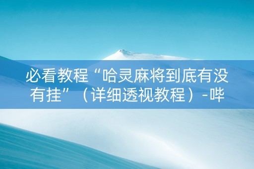 必看教程“哈灵麻将到底有没有挂”（详细透视教程）-哔哩哔哩