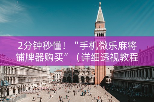 2分钟秒懂！“手机微乐麻将铺牌器购买”（详细透视教程）-哔哩哔哩