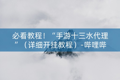 必看教程！“手游十三水代理”（详细开挂教程）-哔哩哔哩