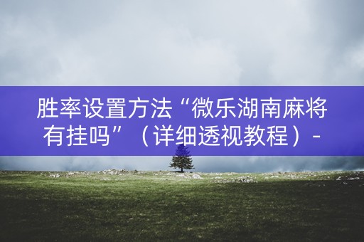 胜率设置方法“微乐湖南麻将有挂吗”（详细透视教程）-哔哩哔哩