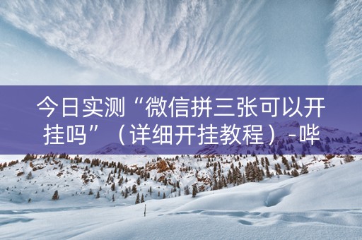 今日实测“微信拼三张可以开挂吗”（详细开挂教程）-哔哩哔哩