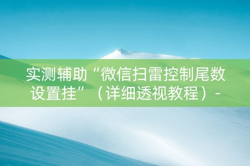 实测辅助“微信扫雷控制尾数设置挂”（详细透视教程）-哔哩哔哩