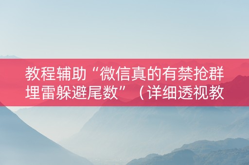 教程辅助“微信真的有禁抢群埋雷躲避尾数”（详细透视教程）-哔哩哔哩