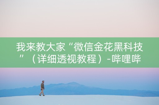 我来教大家“微信金花黑科技”（详细透视教程）-哔哩哔哩