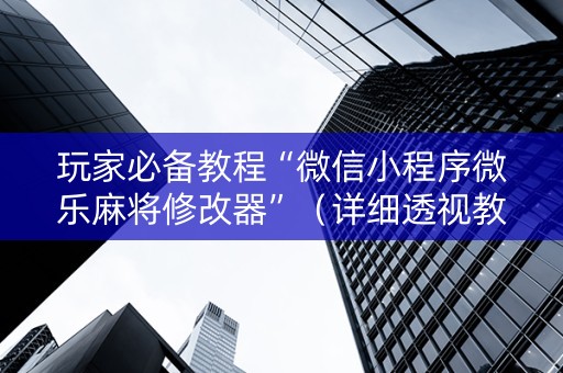玩家必备教程“微信小程序微乐麻将修改器”（详细透视教程）-哔哩哔哩