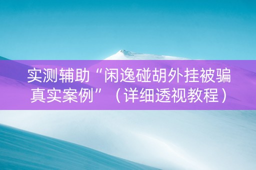 实测辅助“闲逸碰胡外挂被骗真实案例”（详细透视教程）-哔哩哔哩