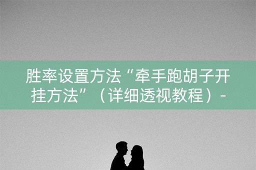 胜率设置方法“牵手跑胡子开挂方法”（详细透视教程）-哔哩哔哩