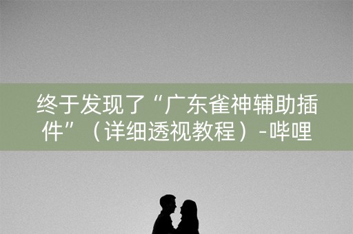 终于发现了“广东雀神辅助插件”（详细透视教程）-哔哩哔哩