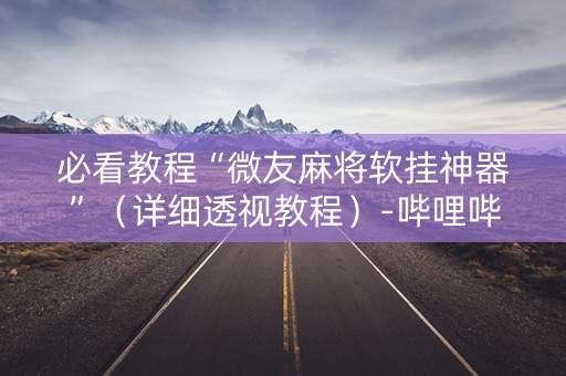 必看教程“微友麻将软挂神器”（详细透视教程）-哔哩哔哩