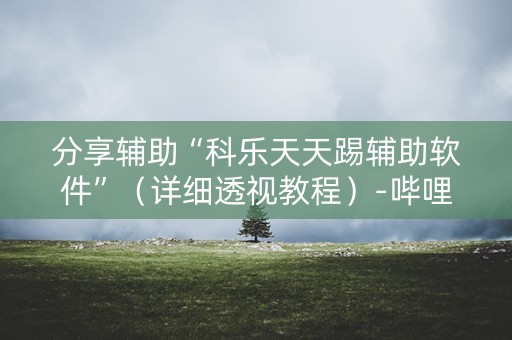 分享辅助“科乐天天踢辅助软件”（详细透视教程）-哔哩哔哩