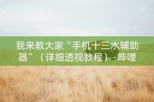 我来教大家“手机十三水辅助器”（详细透视教程）-哔哩哔哩