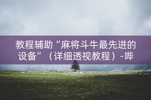 教程辅助“麻将斗牛最先进的设备”（详细透视教程）-哔哩哔哩
