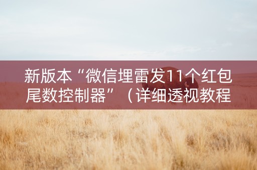 新版本“微信埋雷发11个红包尾数控制器”（详细透视教程）-哔哩哔哩