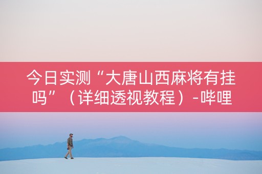 今日实测“大唐山西麻将有挂吗”（详细透视教程）-哔哩哔哩
