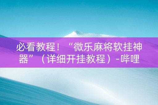 必看教程！“微乐麻将软挂神器”（详细开挂教程）-哔哩哔哩