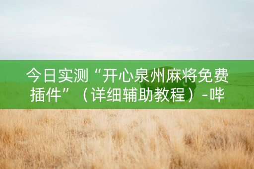 今日实测“开心泉州麻将免费插件”（详细辅助教程）-哔哩哔哩