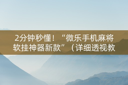 2分钟秒懂！“微乐手机麻将软挂神器新款”（详细透视教程）-哔哩哔哩