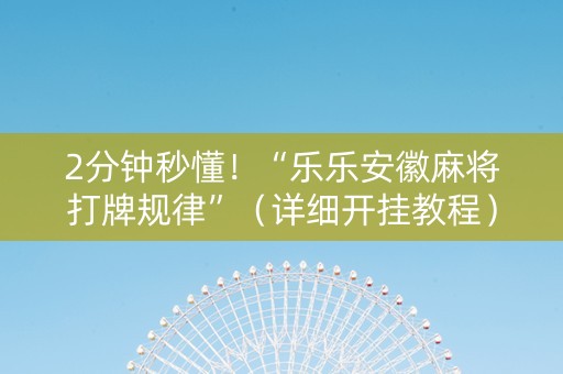2分钟秒懂！“乐乐安徽麻将打牌规律”（详细开挂教程）-哔哩哔哩