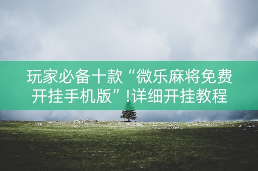 玩家必备十款“微乐麻将免费开挂手机版”!详细开挂教程-知乎
